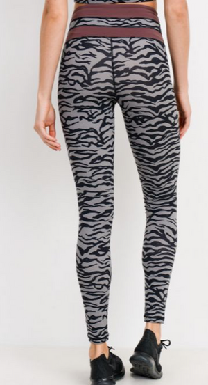 379 Grey -  Zebra Print W/ Burg Trim Legging - Perception0one.com